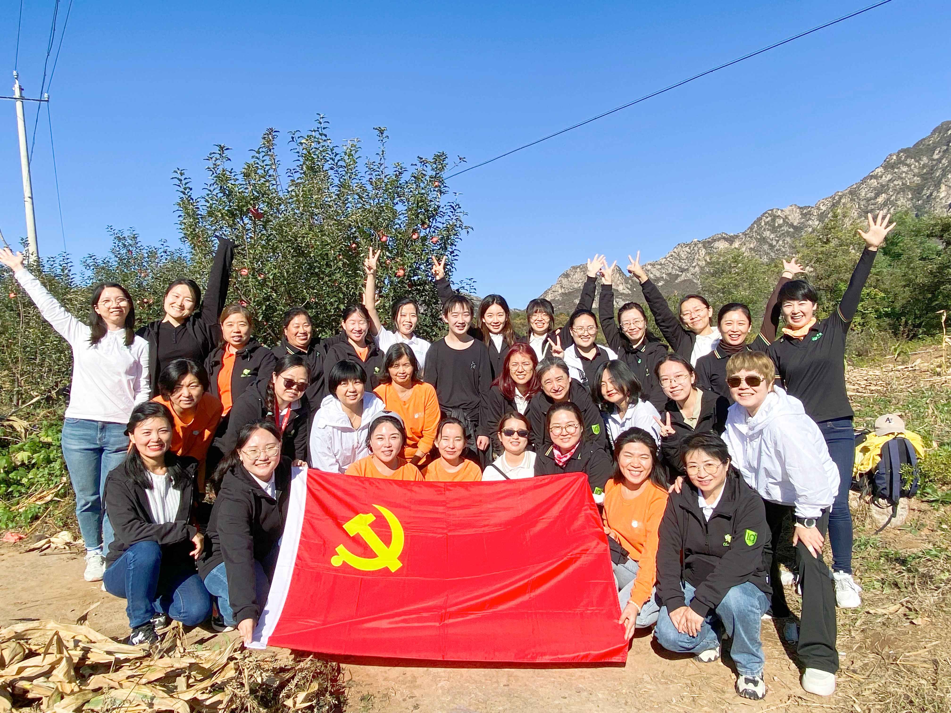 春苗党建 | 实践中淬炼解决实际问题能力